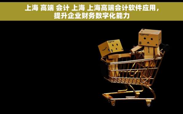 上海 高端 会计 上海 上海高端会计软件应用，提升企业财务数字化能力