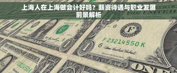 上海人在上海做会计好吗？薪资待遇与职业发展前景解析
