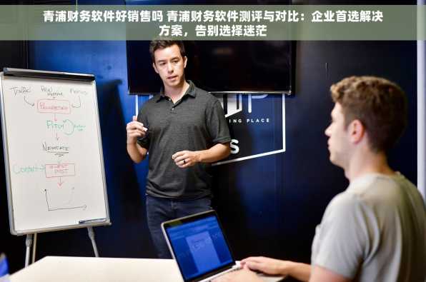 青浦财务软件好销售吗 青浦财务软件测评与对比：企业首选解决方案，告别选择迷茫