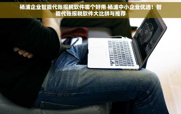 杨浦企业智能代账报税软件哪个好用 杨浦中小企业优选！智能代账报税软件大比拼与推荐