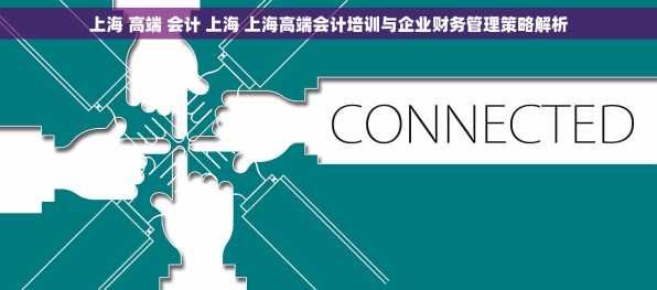 上海 高端 会计 上海 上海高端会计培训与企业财务管理策略解析