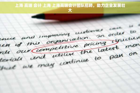 上海 高端 会计 上海 上海高端会计团队招聘，助力企业发展壮大