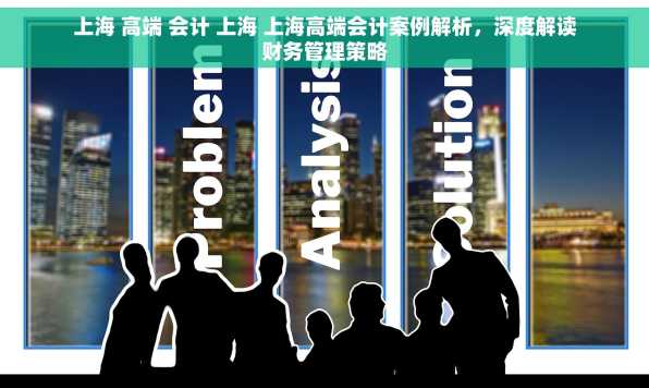上海 高端 会计 上海 上海高端会计案例解析，深度解读财务管理策略