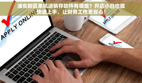 浦东新区单机进销存软件有哪些？开店小白也能快速上手，让财务工作更省心！