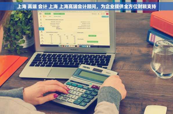 上海 高端 会计 上海 上海高端会计顾问，为企业提供全方位财税支持