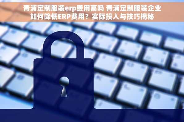青浦定制服装erp费用高吗 青浦定制服装企业如何降低ERP费用？实际投入与技巧揭秘