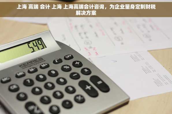 上海 高端 会计 上海 上海高端会计咨询，为企业量身定制财税解决方案