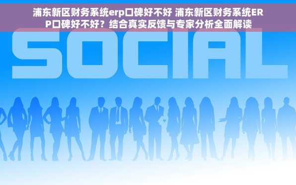 浦东新区财务系统erp口碑好不好 浦东新区财务系统ERP口碑好不好？结合真实反馈与专家分析全面解读