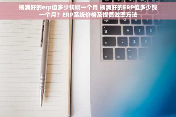 杨浦好的erp值多少钱啊一个月 杨浦好的ERP值多少钱一个月？ERP系统价格及提高效率方法