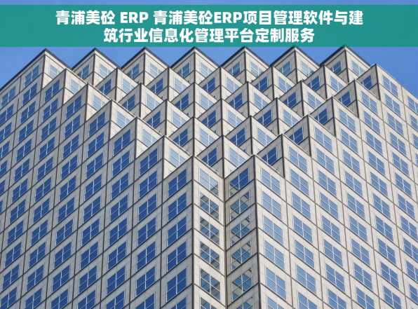 青浦美砼 ERP 青浦美砼ERP项目管理软件与建筑行业信息化管理平台定制服务