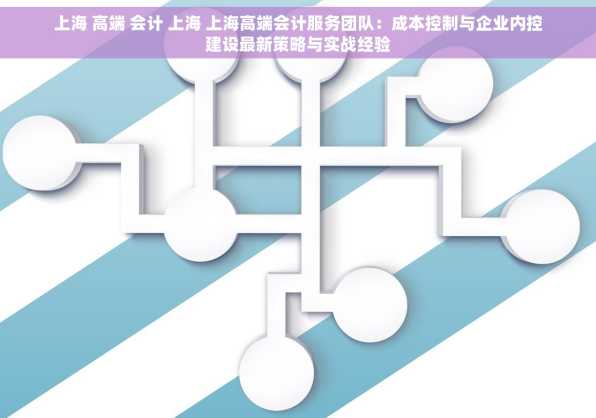 上海 高端 会计 上海 上海高端会计服务团队：成本控制与企业内控建设最新策略与实战经验