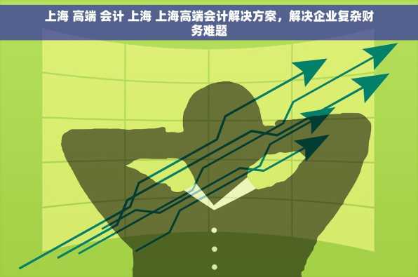 上海 高端 会计 上海 上海高端会计解决方案，解决企业复杂财务难题