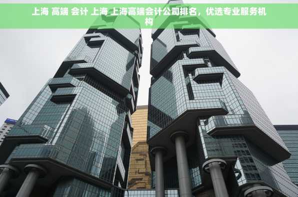 上海 高端 会计 上海 上海高端会计公司排名，优选专业服务机构