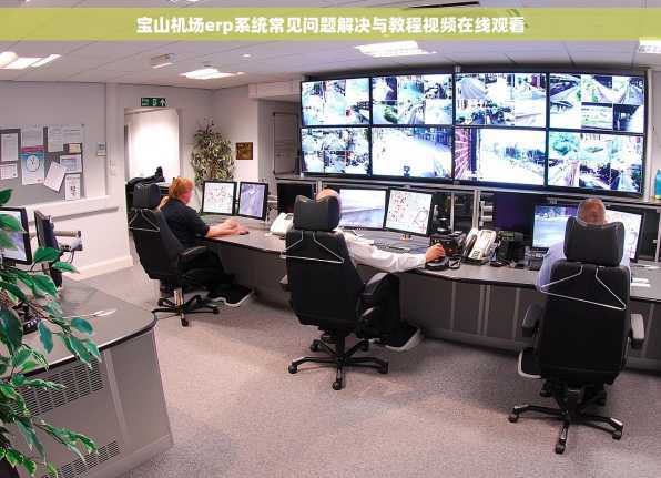 宝山机场erp系统常见问题解决与教程视频在线观看