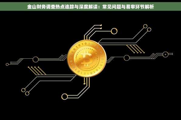 金山财务调查热点追踪与深度解读：常见问题与易审环节解析