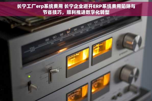 长宁工厂erp系统费用 长宁企业避开ERP系统费用陷阱与节省技巧，顺利推进数字化转型