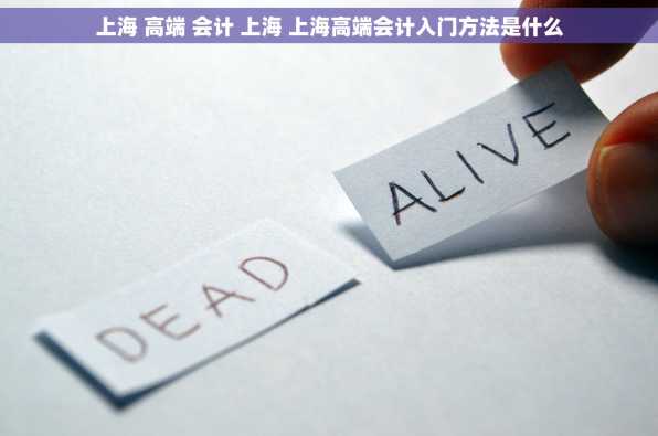上海 高端 会计 上海 上海高端会计入门方法是什么