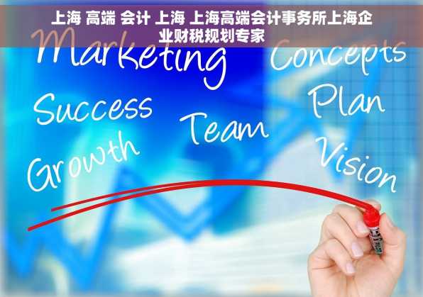 上海 高端 会计 上海 上海高端会计事务所上海企业财税规划专家