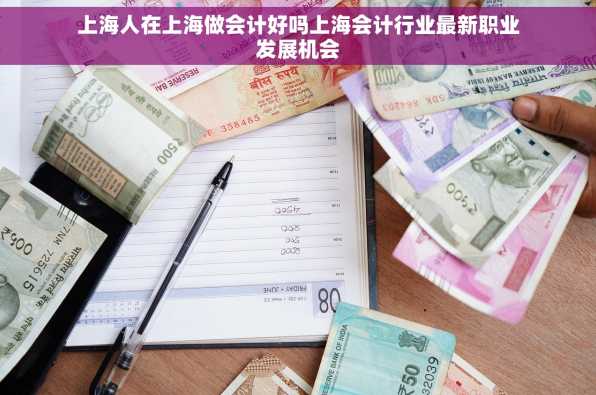 上海人在上海做会计好吗上海会计行业最新职业发展机会