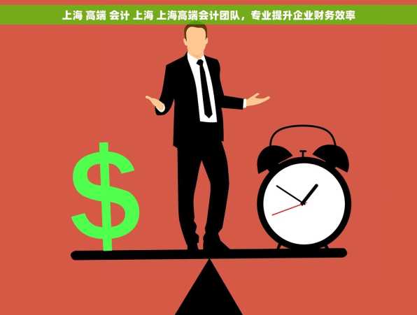 上海 高端 会计 上海 上海高端会计团队，专业提升企业财务效率