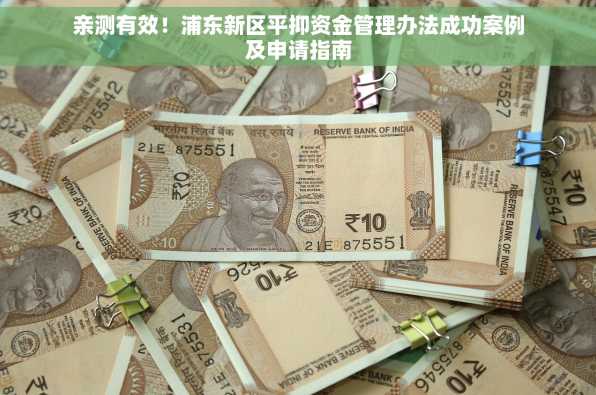 亲测有效！浦东新区平抑资金管理办法成功案例及申请指南