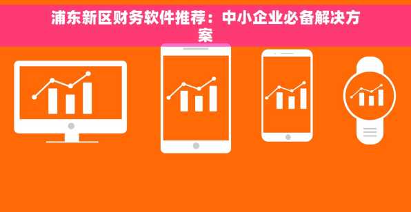 浦东新区财务软件推荐：中小企业必备解决方案