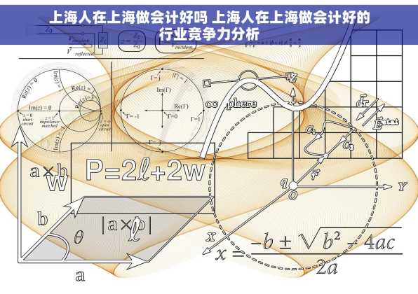上海人在上海做会计好吗 上海人在上海做会计好的行业竞争力分析