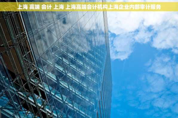 上海 高端 会计 上海 上海高端会计机构上海企业内部审计服务