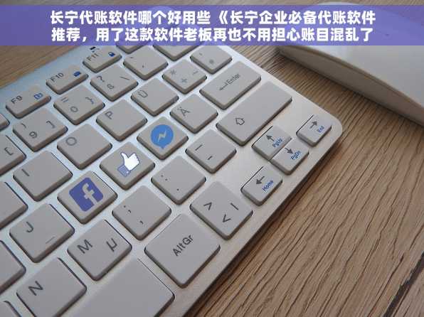 长宁代账软件哪个好用些 《长宁企业必备代账软件推荐，用了这款软件老板再也不用担心账目混乱了》