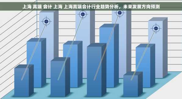 上海 高端 会计 上海 上海高端会计行业趋势分析，未来发展方向预测