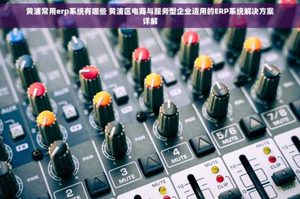 黄浦常用erp系统有哪些 黄浦区电商与服务型企业适用的ERP系统解决方案详解
