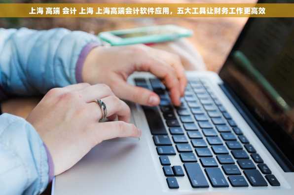 上海 高端 会计 上海 上海高端会计软件应用，五大工具让财务工作更高效
