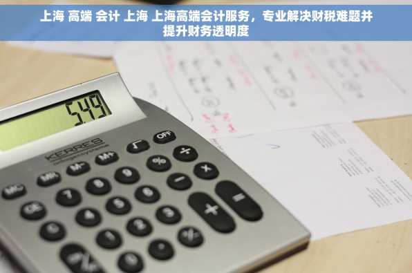 上海 高端 会计 上海 上海高端会计服务，专业解决财税难题并提升财务透明度