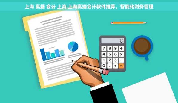 上海 高端 会计 上海 上海高端会计软件推荐，智能化财务管理