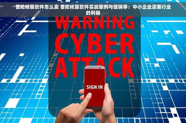 普陀核算软件怎么卖 普陀核算软件实战案例与促销季：中小企业逆袭行业的利器