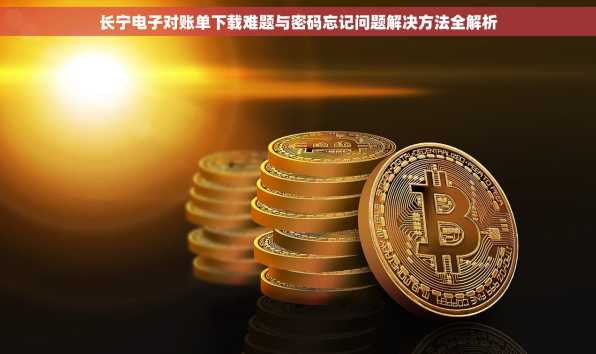 长宁电子对账单下载难题与密码忘记问题解决方法全解析