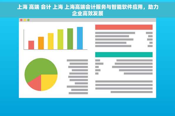 上海 高端 会计 上海 上海高端会计服务与智能软件应用，助力企业高效发展