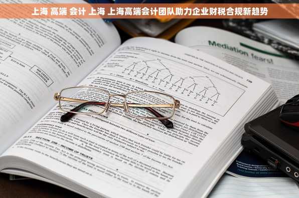 上海 高端 会计 上海 上海高端会计团队助力企业财税合规新趋势