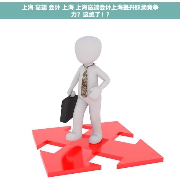 上海 高端 会计 上海 上海高端会计上海提升职场竞争力？这绝了！?