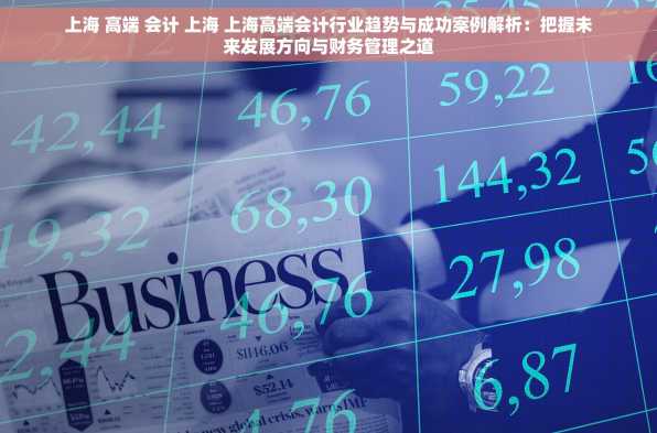 上海 高端 会计 上海 上海高端会计行业趋势与成功案例解析：把握未来发展方向与财务管理之道