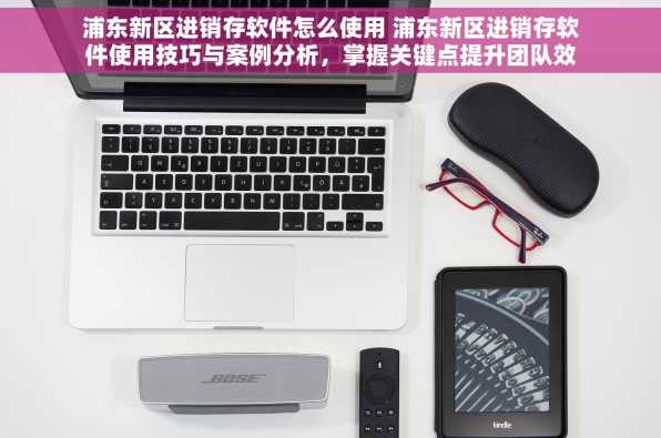 浦东新区进销存软件怎么使用 浦东新区进销存软件使用技巧与案例分析，掌握关键点提升团队效率