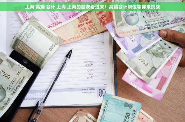 上海 高端 会计 上海 上海的朋友看过来！高端会计职位等你来挑战