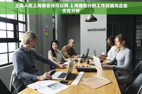 上海人在上海做会计可以吗 上海做会计的工作环境与企业文化分析