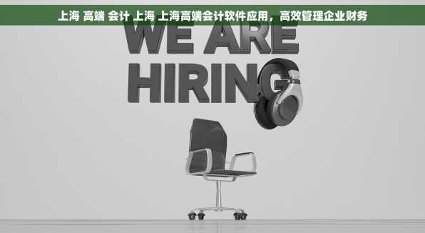 上海 高端 会计 上海 上海高端会计软件应用，高效管理企业财务