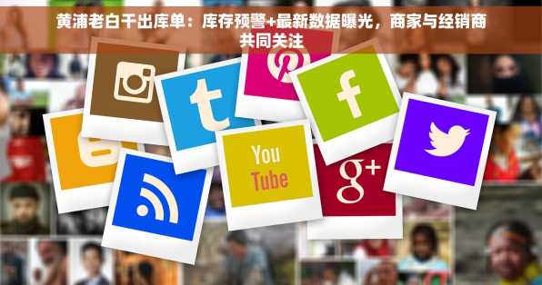 黄浦老白干出库单：库存预警+最新数据曝光，商家与经销商共同关注