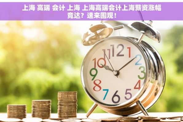 上海 高端 会计 上海 上海高端会计上海薪资涨幅竟达？速来围观！