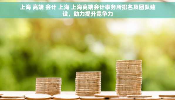 上海 高端 会计 上海 上海高端会计事务所排名及团队建设，助力提升竞争力