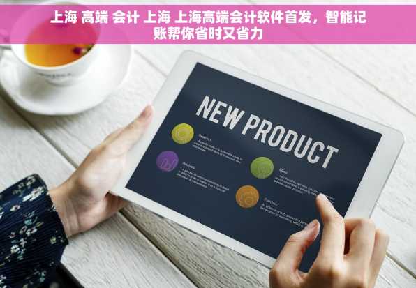 上海 高端 会计 上海 上海高端会计软件首发，智能记账帮你省时又省力