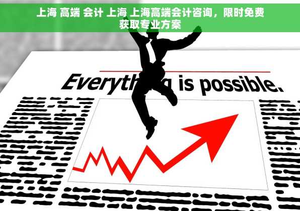上海 高端 会计 上海 上海高端会计咨询，限时免费获取专业方案