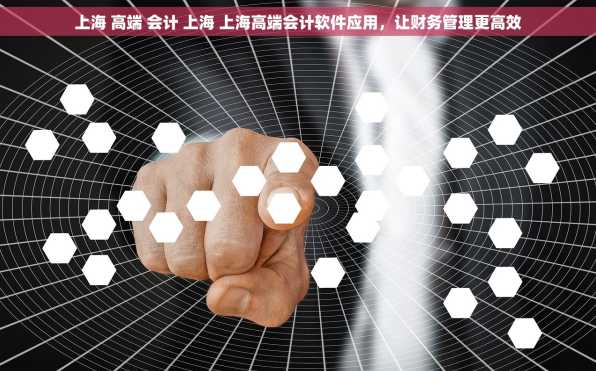 上海 高端 会计 上海 上海高端会计软件应用，让财务管理更高效